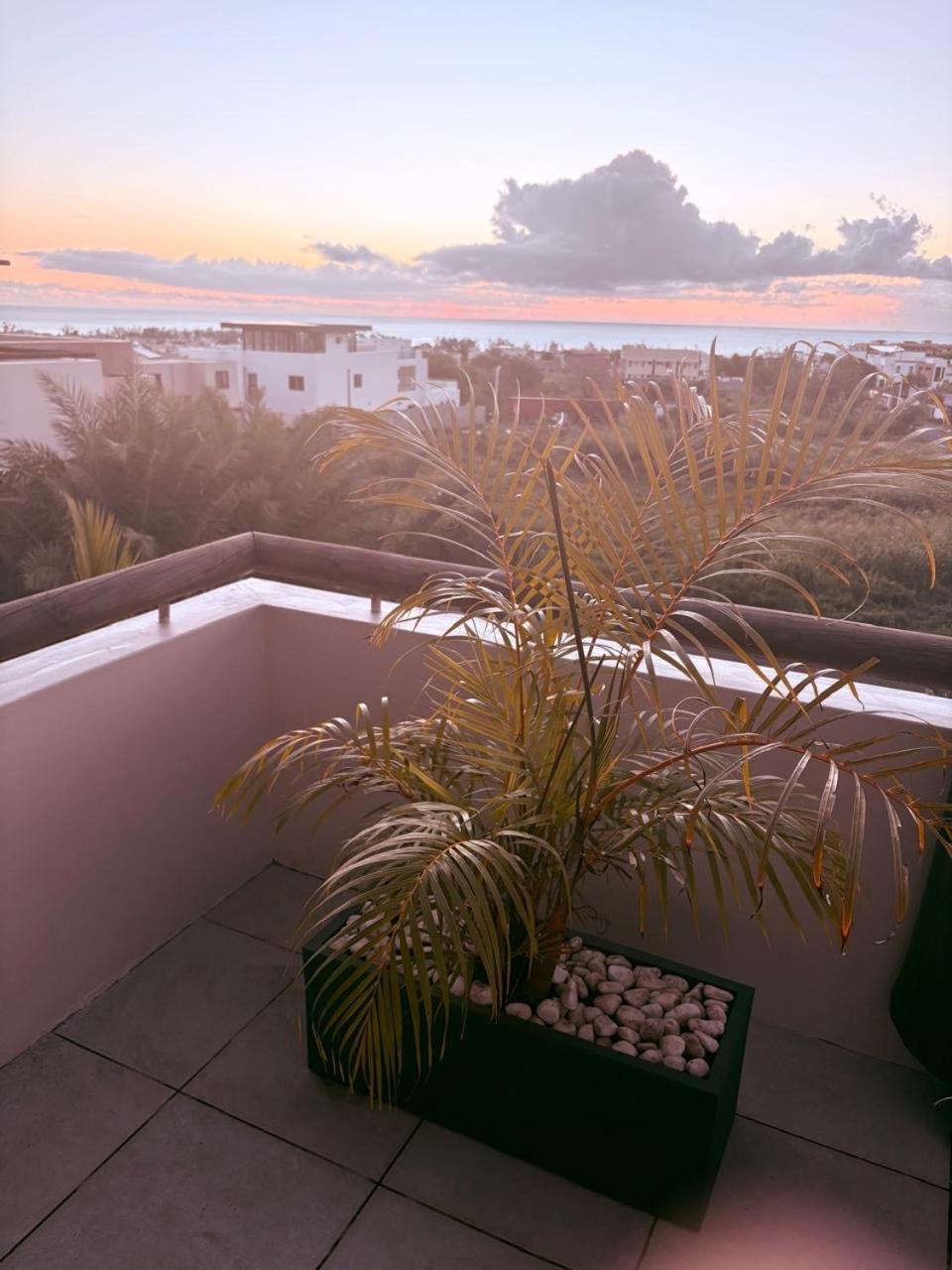 Stunning 3-Bedroom Apartment With Private Rooftop Terrace & Gorgeous Pool Flic-en-Flacq Dış mekan fotoğraf
